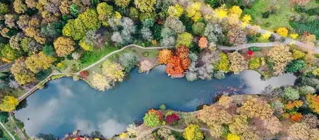 Atatürk Arboretumu - Görsel 3