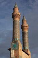 Sivas Çifte Minareli Medrese - Görsel 3