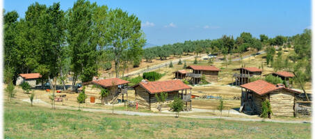 Aktopraklık Höyüğü ve Açıkhava Müzesi - Görsel 4