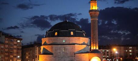 Sivas Kale Camii - Görsel 2