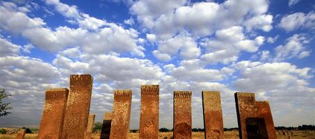 Ahlat Mezarlığı - Görsel 4