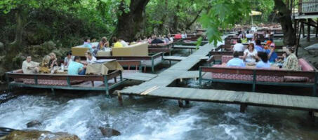 Ulupınar Botanik Restaurant - Görsel 1