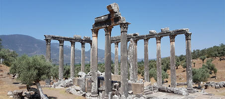 Zeus Karios Tapınağı - Görsel 4