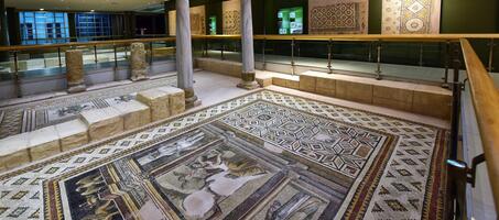 Antakya Mozaik Müzesi - Görsel 3