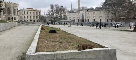 Beyazıt Meydanı - Görsel 4