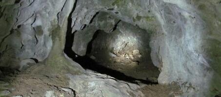 Tilkiler Mağarası - Görsel 1