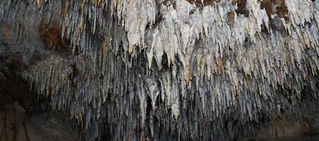 Sırtlanini Mağarası - Görsel 3