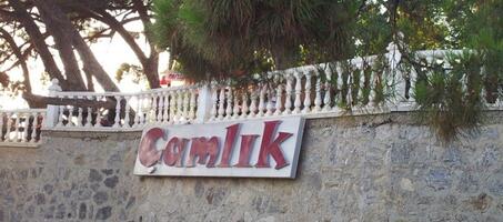 Çamlık Cafe Küçükyalı - Görsel 4