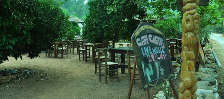 Olympos Cactus Cafe - Görsel 2