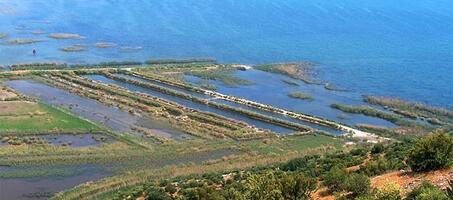 Büyük Menderes Dalyanları - Görsel 4