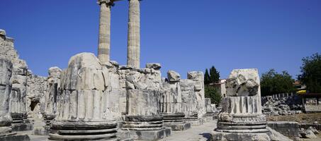 Didim Apollon Tapınağı - Görsel 1