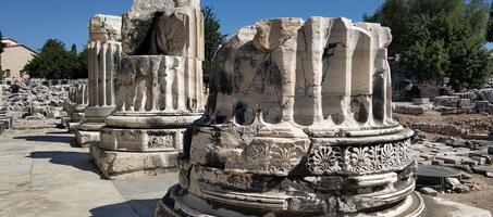 Didim Apollon Tapınağı - Görsel 2