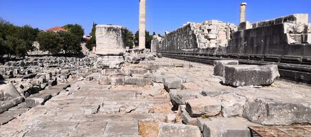 Didim Apollon Tapınağı - Görsel 4