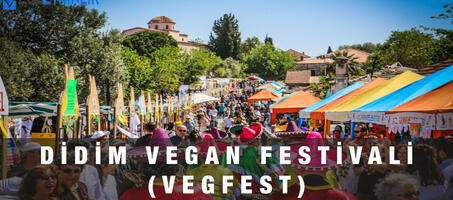 4. Didim Vegan Festivali-VegFest - Görsel 1