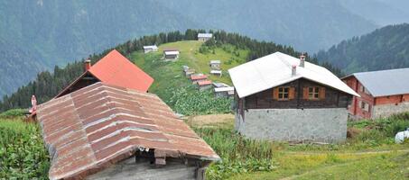 Pokut Yaylası - Görsel 3