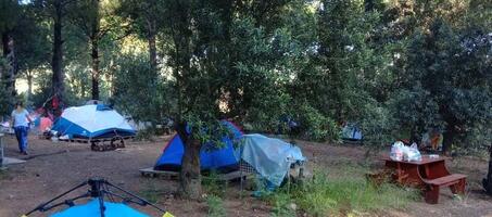 İnek Obası Çadır Kampı - Görsel 1