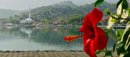 Selimiye Köyü Cami - Görsel 2