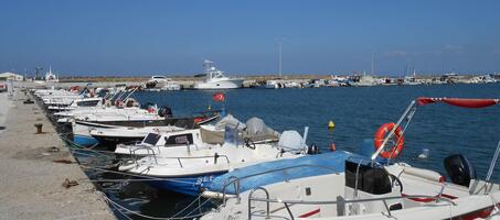 Enez Limanı Feneri - Görsel 4