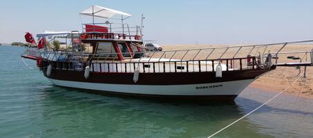 Robenson Boat Tour - Görsel 1