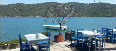 Boğaziçi Dali Restaurant - Görsel 1