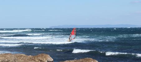 Crazy Island Windsurf and Kite Center - Görsel 1