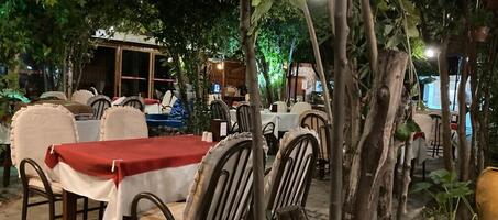 Diyar Paradise Restaurant - Görsel 1
