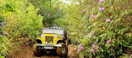 Yaylalarda Jeep Safari - Görsel 2