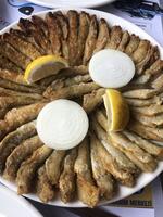 Tepealtı Balık - Görsel 2
