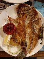 Tepealtı Balık - Görsel 3