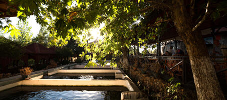 Ali Dayı Balık Restoranı - Görsel 4