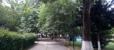 Adnan Menderes Parkı - Görsel 2