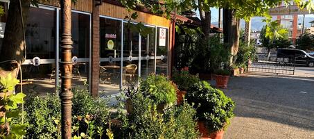 Söke Öğretmenevi ve Akşam Sanat Okulu - Görsel 2