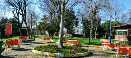 Röne Park Çay Bahçesi - Görsel 2