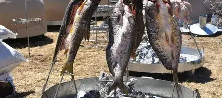 Hasankeyf Turizm Ve Gastronomi Festivali - Görsel 1