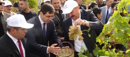 Gercüş Bağ Bozumu Festivali - Görsel 2