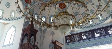 Hafız Mehmet Gürel Camii - Görsel 1