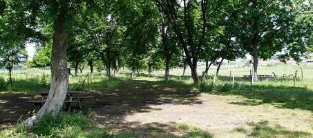 Bolluca Belediyesi Piknik Alanı - Görsel 4