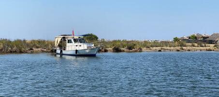 Adil Boat Tours - Görsel 2