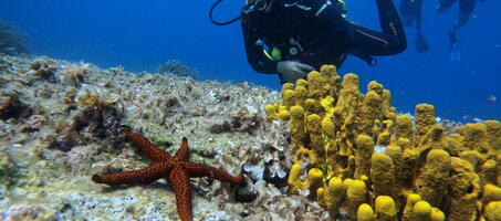 Didim Milet Diving Center - Görsel 2