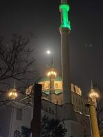 Yeşilbağ Ulu Cami - Görsel 2