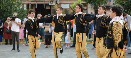 Hayrabolu Ayçiçeği Festivali - Görsel 1