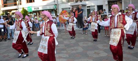 Hayrabolu Ayçiçeği Festivali - Görsel 3