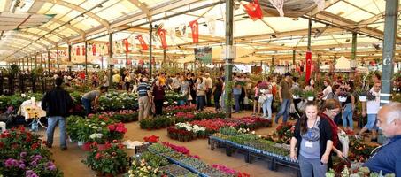 Karşıyaka Bostanlı Çiçek Festivali - Görsel 1