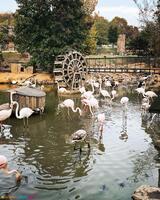 Polonezköy Zoo Park - Görsel 2