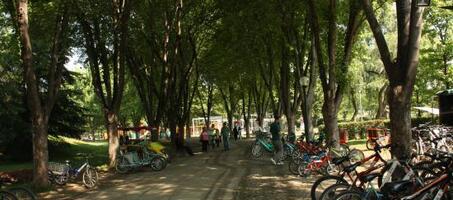 Soğanlı Botanik Park’ta Bisiklet Turu - Görsel 4