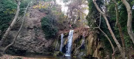 Çamlıca Şelalesi Kamp Alanı - Görsel 3