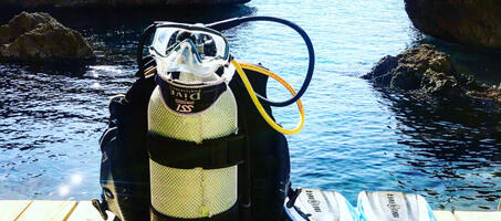 Stingray Diving - Görsel 2