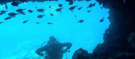 Stingray Diving - Görsel 1