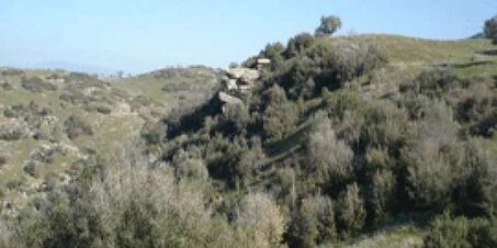 Orthasia Antik Kenti