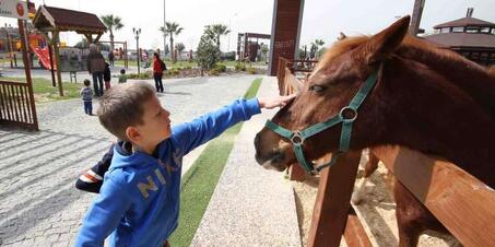 Cordelion Taypark